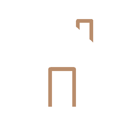 Tofi Star Logo Animation